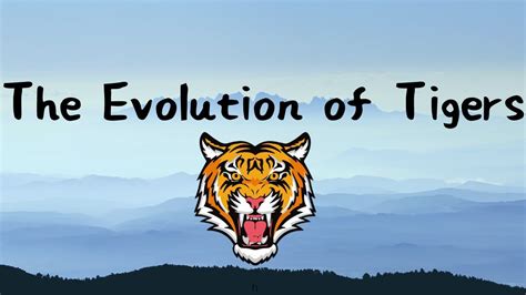 The Evolution Of Tigers Youtube