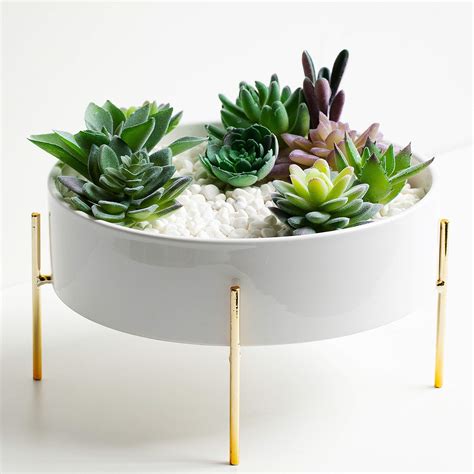Buy Kimisty 10 Inch Large Round Succulent Planter Bowl With Gold Metal