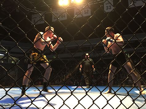 New Regulations For Amateur Mma Fights In Virginia