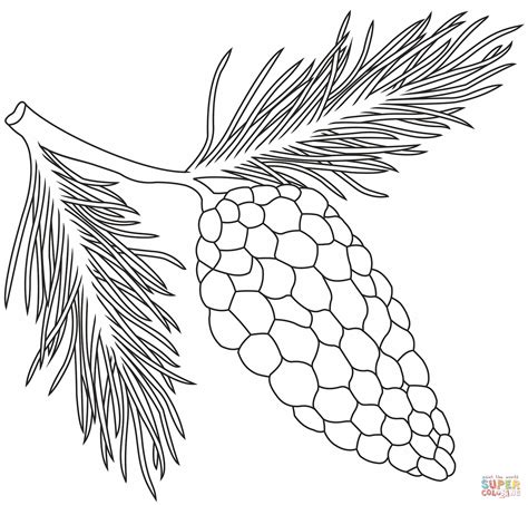 Pine Cone Coloring Page Free Printable Coloring Page Coloring Home