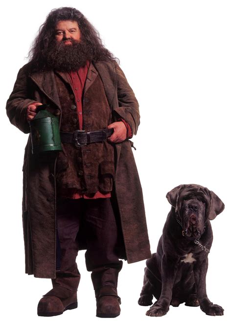 Rubeus Hagrid And Fang Hp2 Transparent By Speedcam On Deviantart