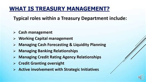 Treasury Management Best Practices Youtube