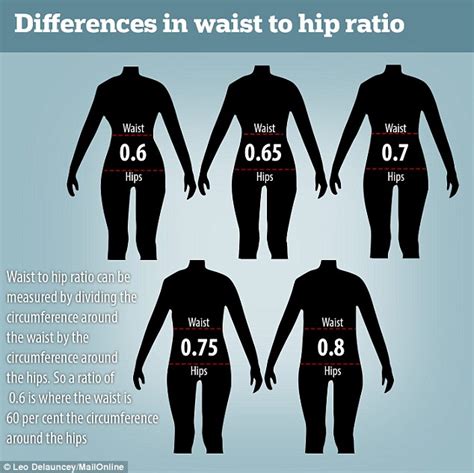Most Attractive Waist To Hip Ratio The Physical Features Men Can Hot Sex Picture
