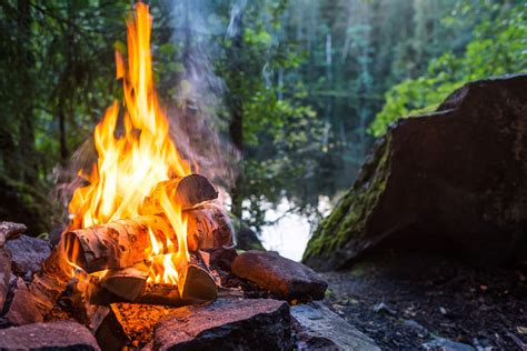 Flame On 10 Best Types Of Wood For A Campfire Hiconsumption
