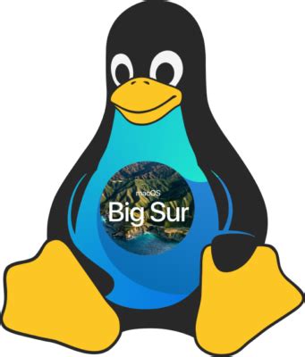 UPDATED HOW TO Install MacOS Big Sur With OpenCore On Linux