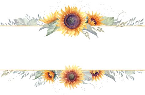 Free 175 Sunflower Border Clipart Free Svg Png Eps Dxf File