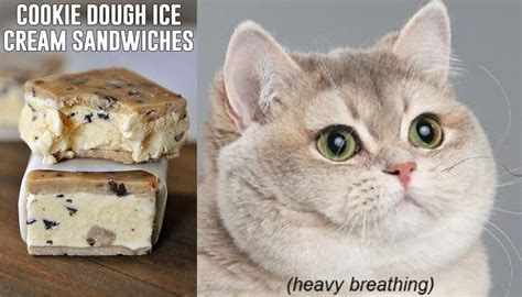 Lol Cookie Dough Ice Cream Sandwiches Heavy Breathing Cat Heavy
