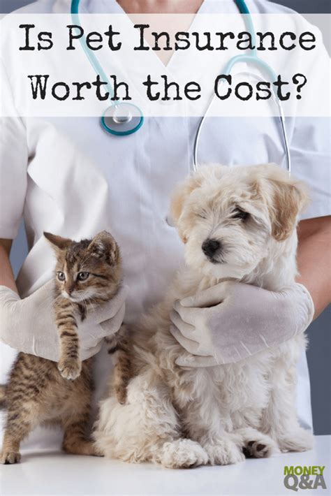 Best pet insurance companies real customer ratings overview of plans best coverage offers high customer satisfaction get a.pet insurance works the same way human insurance does—when you insure your dogs, cats, and other animal friends, you can cover a large portion of. Is Pet Insurance Worth the Cost? What You Need to Know ...
