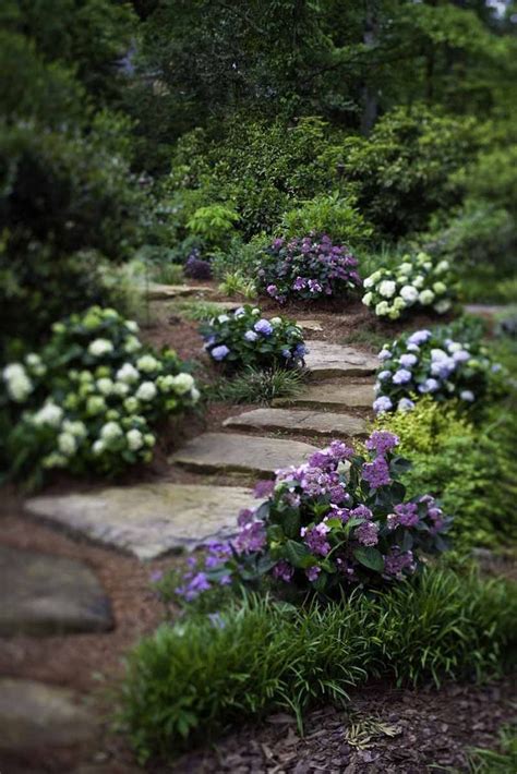 Check spelling or type a new query. Garden path | Garden images, Garden, Garden design