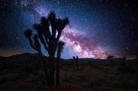 21 Best Things To Do In Joshua Tree National Park Tips For Visiting