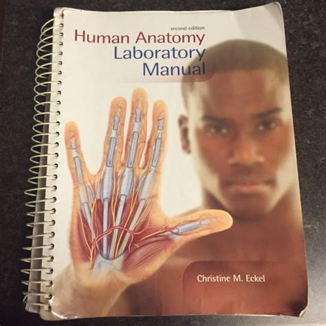 Anatomy And Physiology Other Human Anatomy Laboratory Manual