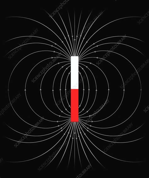 Magnetic field of a bar magnet, illustration - Stock Image - C038/7902 ...