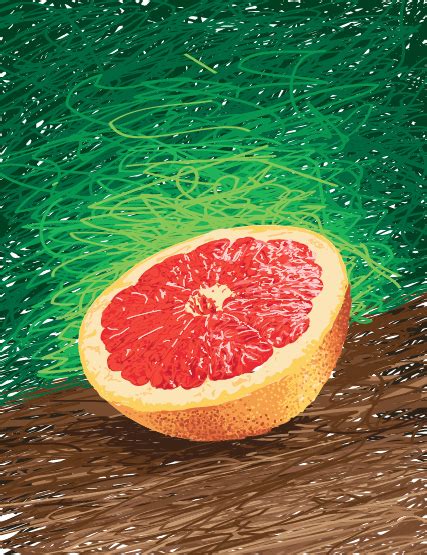Grapefruit Painting At Explore Collection Of