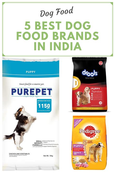 We Provide A Guide For Choosing The Best Dog Food From Brands Like