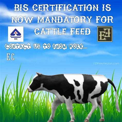 Compounded Cattle Feed Bis Certification As Per Is 2052 At Rs 75000