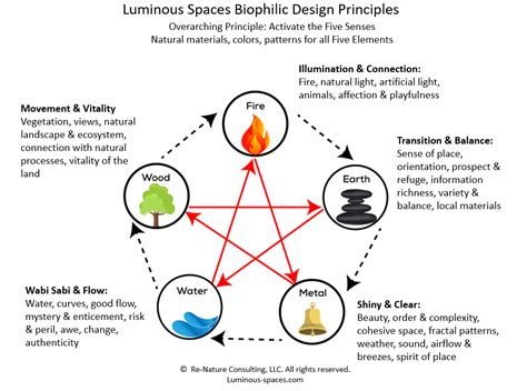 6 Module Biophilic Design Online Course Luminous Spaces