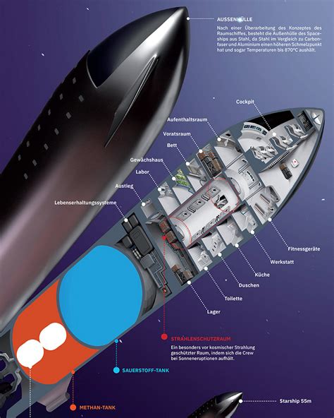 18m diameter starship hinted by elon musk as the possible next generation starship (in artist's vision it's not supposed to land on planets so no fins and legs); Cutaway diagram of SpaceX Starship | human Mars