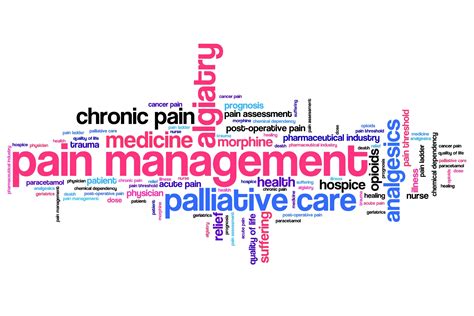 Pain Management Among Older Adults Claude Pepper Center