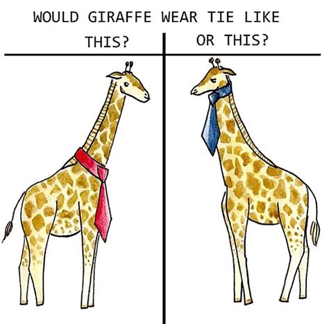 would a giraffe clean funny pictures funny pictures funny memes