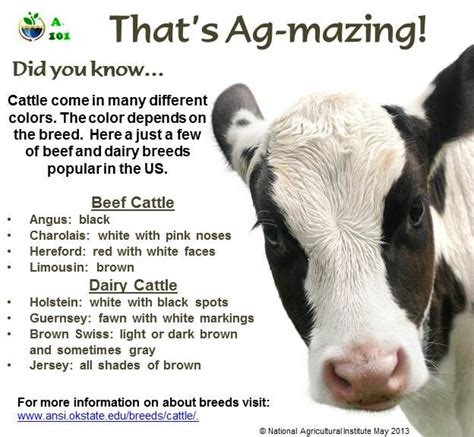 Dairy Cow Genetics Farm House