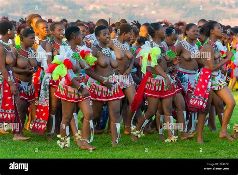 Woman Swaziland Traditional Culture Stockfotos And Woman Swaziland