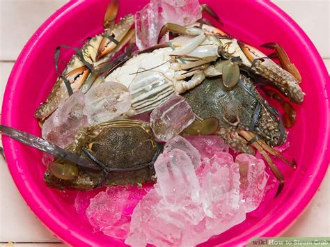How To Steam Crab 10 Steps With Pictures Wikihow