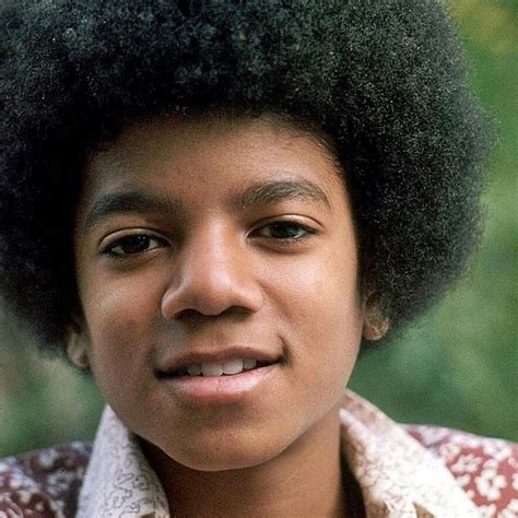 Michael Jackson Michael Jackson Afro The Jacksons King Of Pops African American History Big