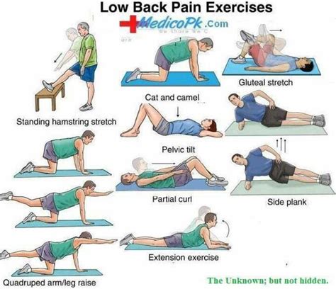 Stretches To Relieve Lower Back Pain Insight Pinterest
