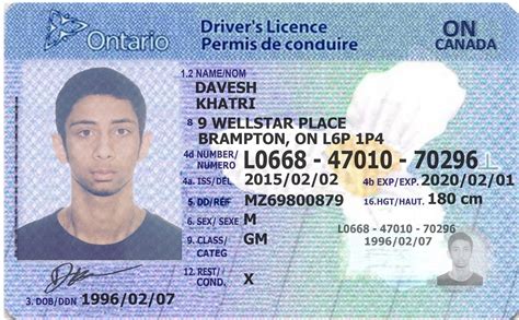 Ontario Renew Drivers License