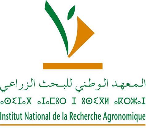 Fouad Mokrini Nematologist At National Institute For Agricultural
