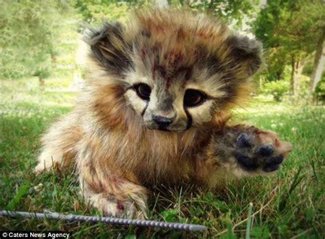 Are They Fur Real The Creepy Sculptures Created For Those Who Have