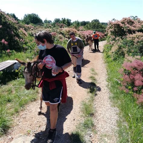 Nearby attractions include sacrario militare di redipuglia (0.8. Fattoria didattica e sociale Parco Rurale "Alture di ...