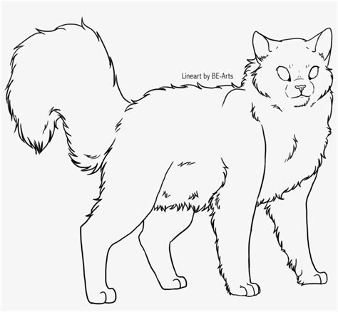 Fluffy Cat Drawing Base Fluffy Black Cat Fluffy Cat Black Cats Chat Kawaii Fantasy Magic Cute
