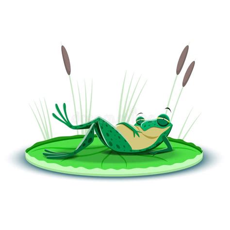 A Gorged Frog Resting On A Leaf Of Water Lily Stock Vector