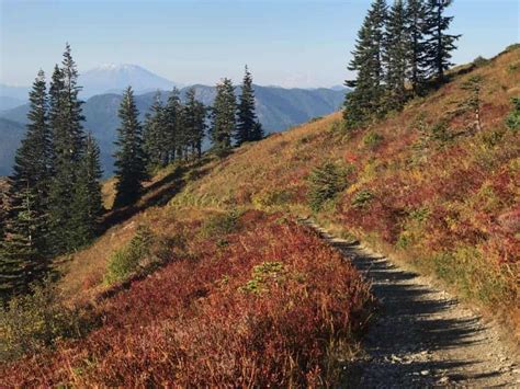 Great Fall Colors Hike Near Portland Silver Star Mountain