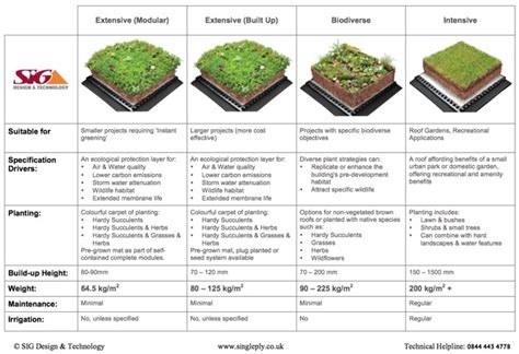 Sig Design And Technology How Much Will A Green Roof Weigh A Guide To