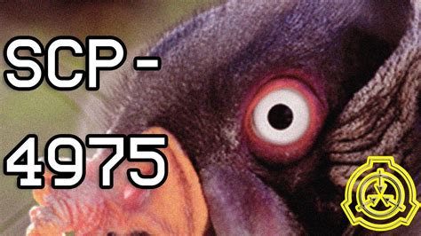Scp 4975 Times Up Avian Creature Scp Youtube