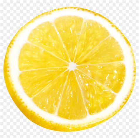 Lemon Slice Png Orange Transparent Png 1600x1600841662 Pngfind