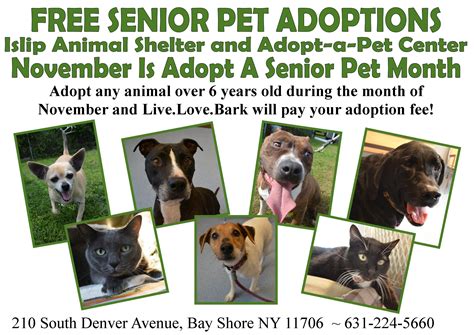 Free Senior Pet Adoptions! National Adopt a Senior Pet Month - All