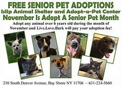 Free For Pet Lovers Pet Adoptions Training Classes And Pet Supplies In Oahu