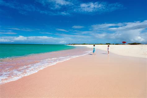 Think Pink Discover The Caribbeans Iconic Pink Sand Beaches Kenwood