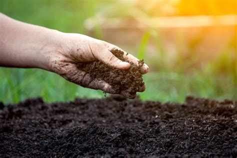 7 Clever Ways To Improve Soil Health And Quality Alpha Environmental