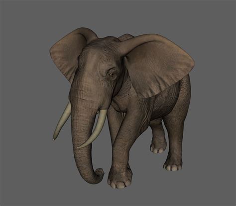 3d Printable Model Obj Elephant Cgtrader