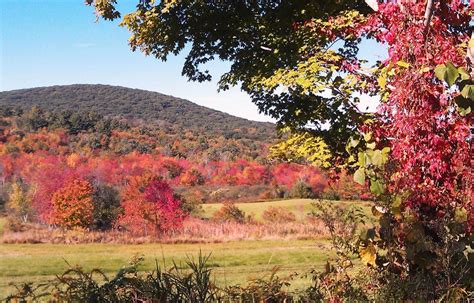 Fall Foliage Starting To Pop In Hampden And Elsewhere Across The