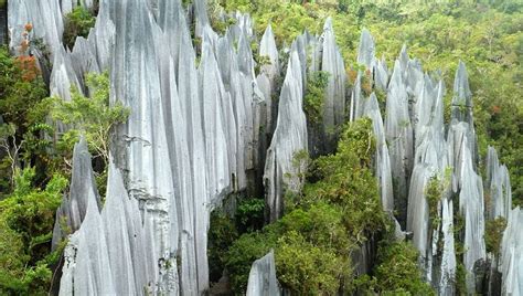 Gunung Mulu National Park En Sarawak Malasia Patrimonio De La