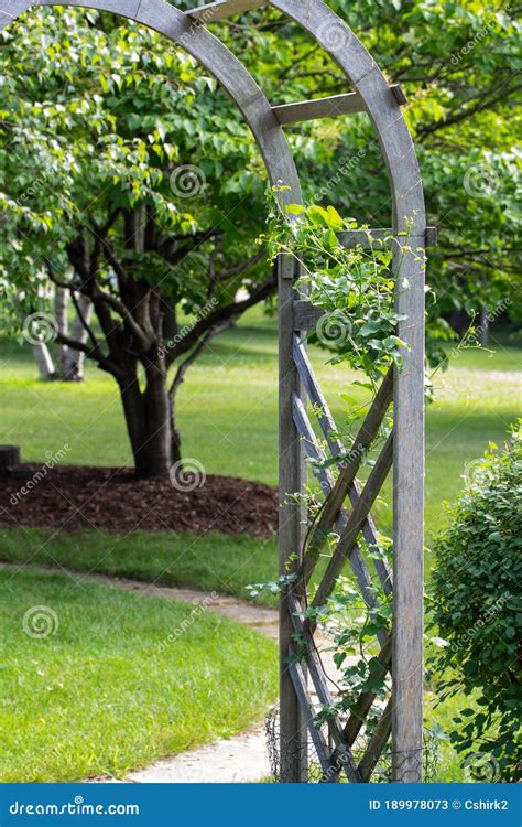 Rustic Wooden Arbor With Vines In A Landscaped Garden Stock Image