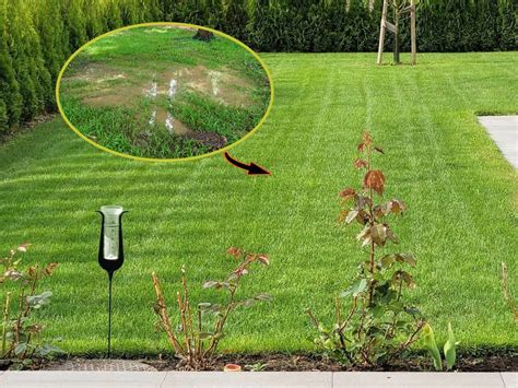5 Steps To Improve Drainage In Your Clay Soil Lawn