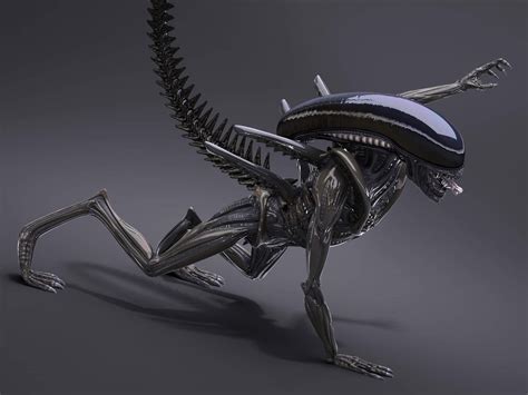 Alien Isolation Xenomorph 3d Model