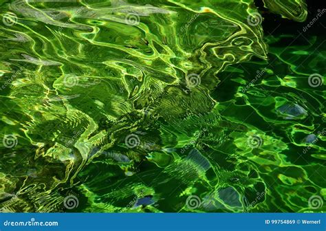 Green Lake Water Stock Image Image Of Decorative Alge 99754869