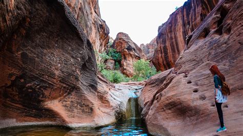 Top 20 Fun Things To Do In St George